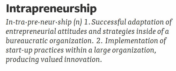 four-guidelines-for-supporting-your-lean-intrapreneurs